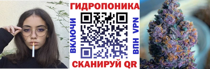 Канабис гибрид  где найти   Струнино 